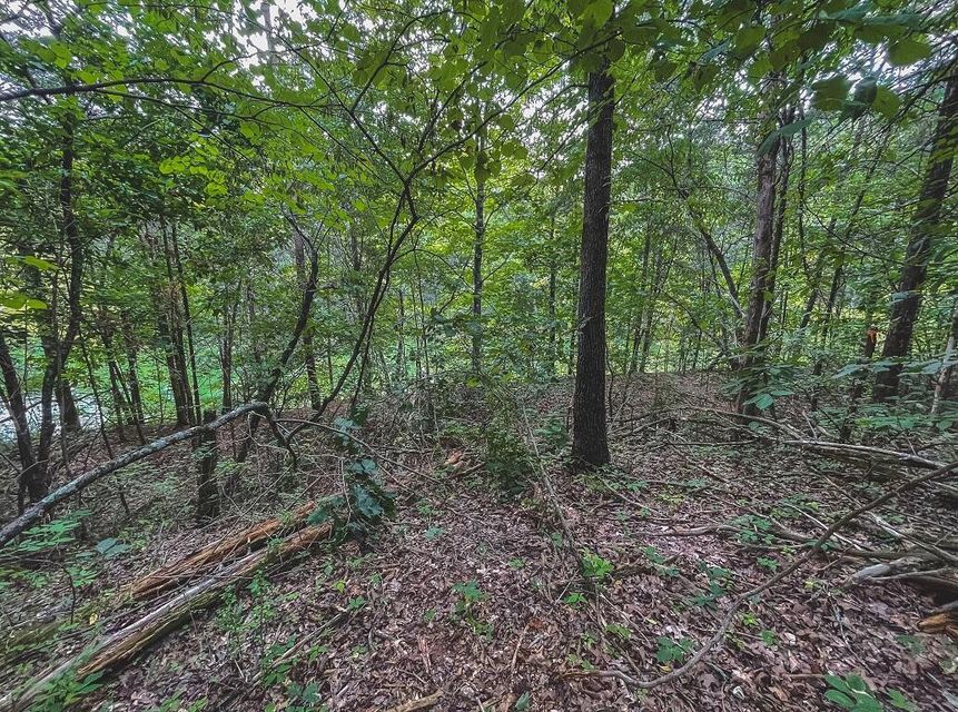 Photo #28: Lot 176 Hill Trail Drive