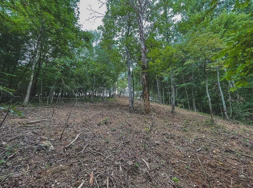Photo #29: Lot 176 Hill Trail Drive