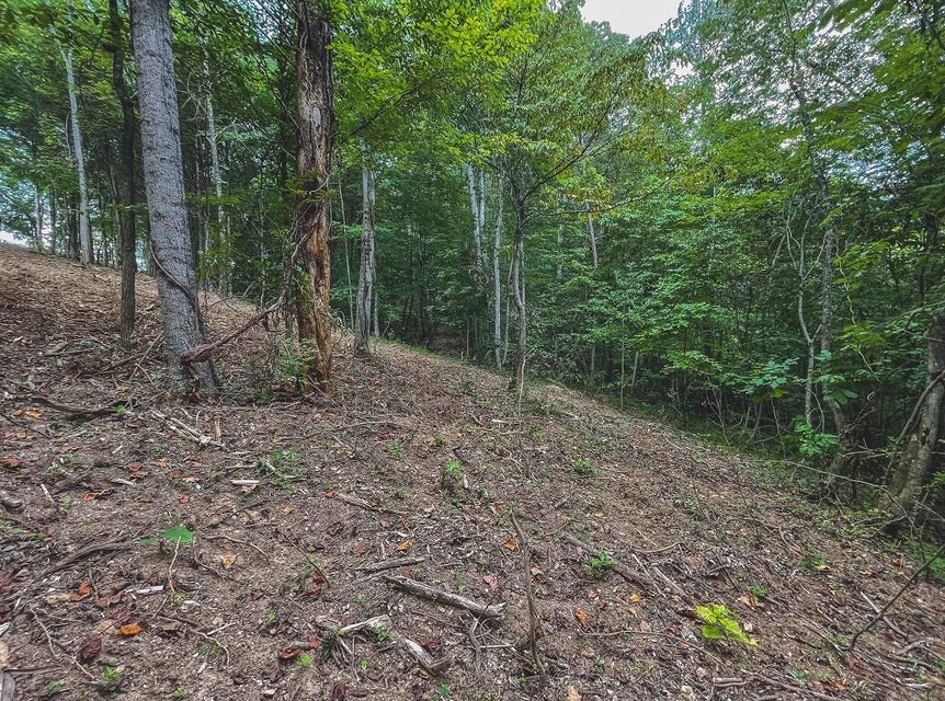 Photo #30: Lot 176 Hill Trail Drive