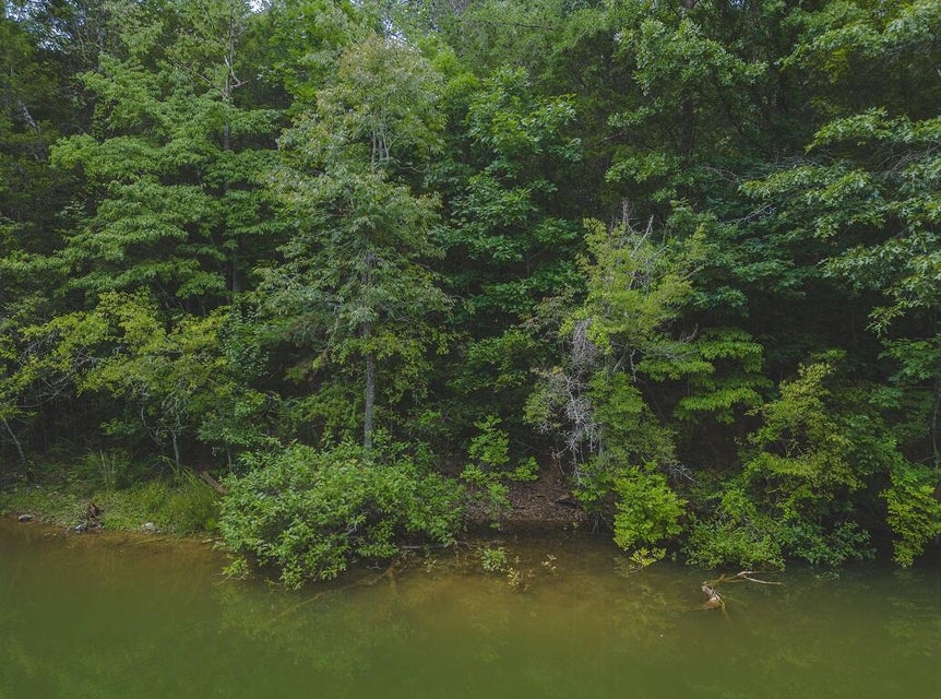 Photo #6: Lot 177 Hill Trail Drive