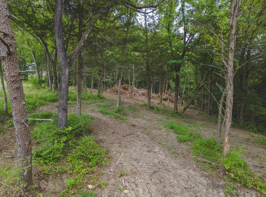 Photo #16: Lot 177 Hill Trail Drive