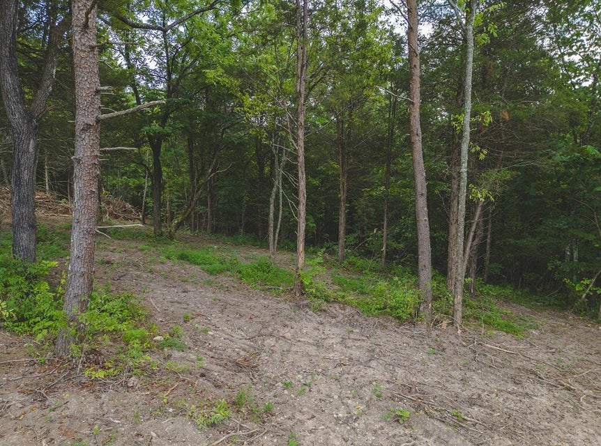 Photo #19: Lot 177 Hill Trail Drive