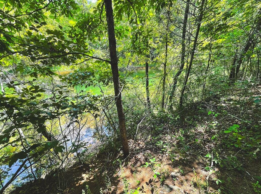 Photo #26: Lot 177 Hill Trail Drive