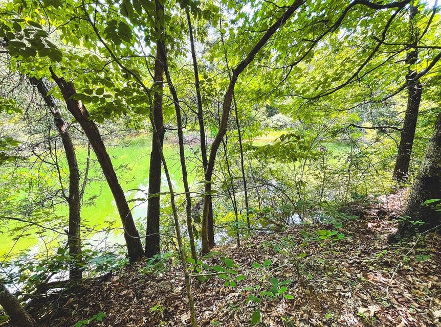 Photo #21: Lot 178 Hill Trail Drive