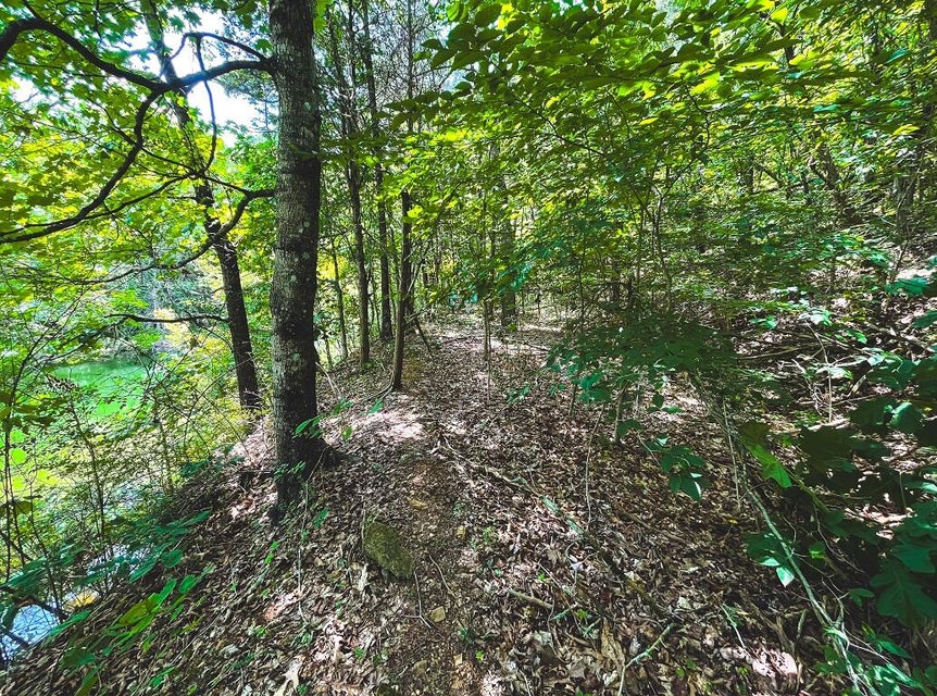 Photo #23: Lot 178 Hill Trail Drive
