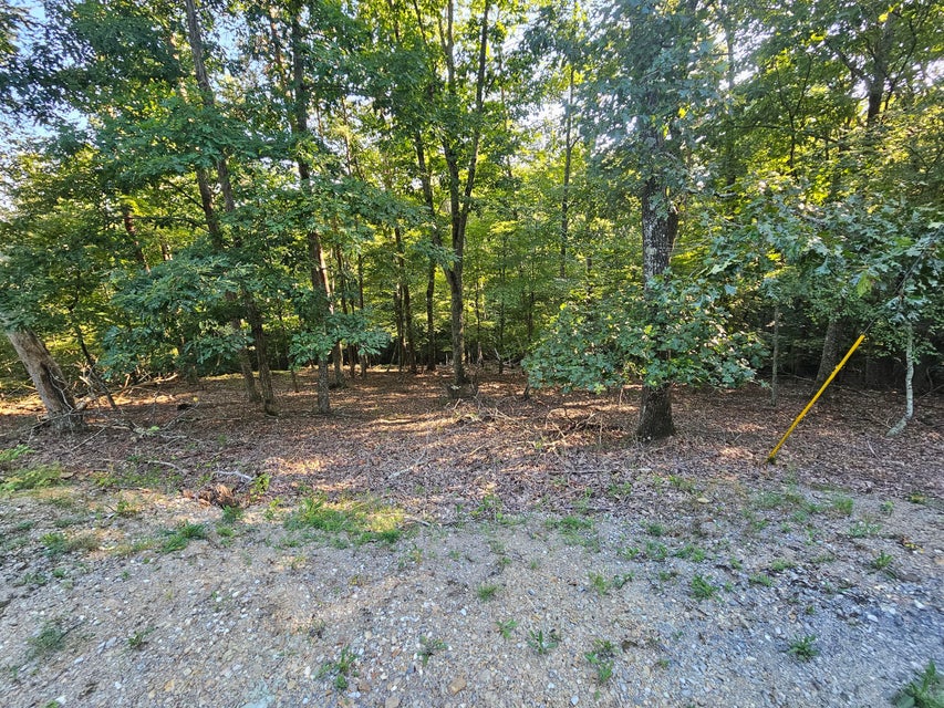 Photo #8: 1404 Echota Lane
