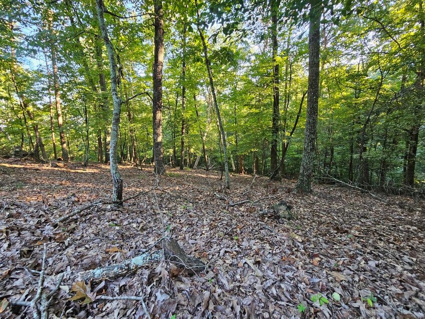 Photo #11: 1404 Echota Lane