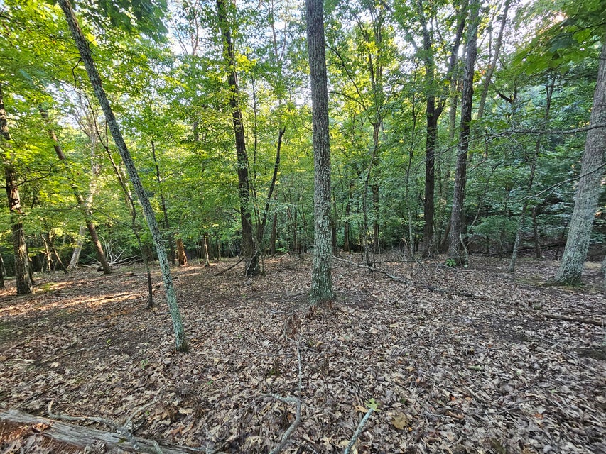 Photo #16: 1404 Echota Lane