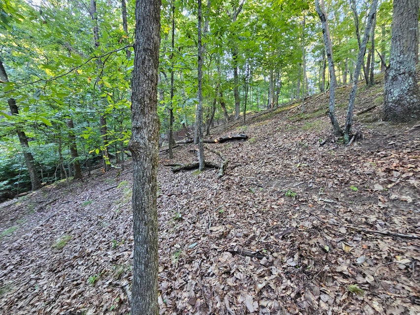 Photo #17: 1404 Echota Lane