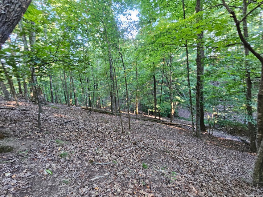 Photo #20: 1404 Echota Lane