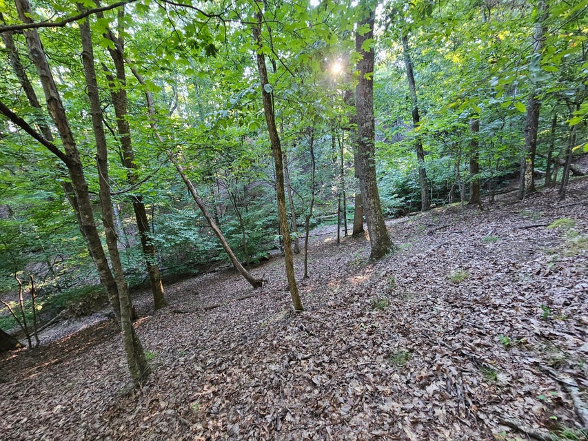 Photo #21: 1404 Echota Lane