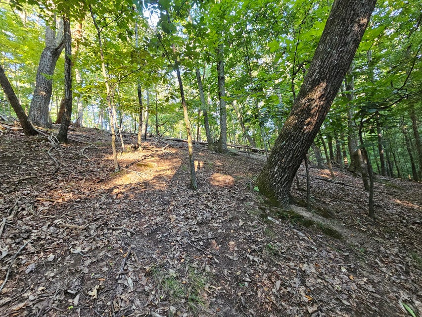 Photo #22: 1404 Echota Lane