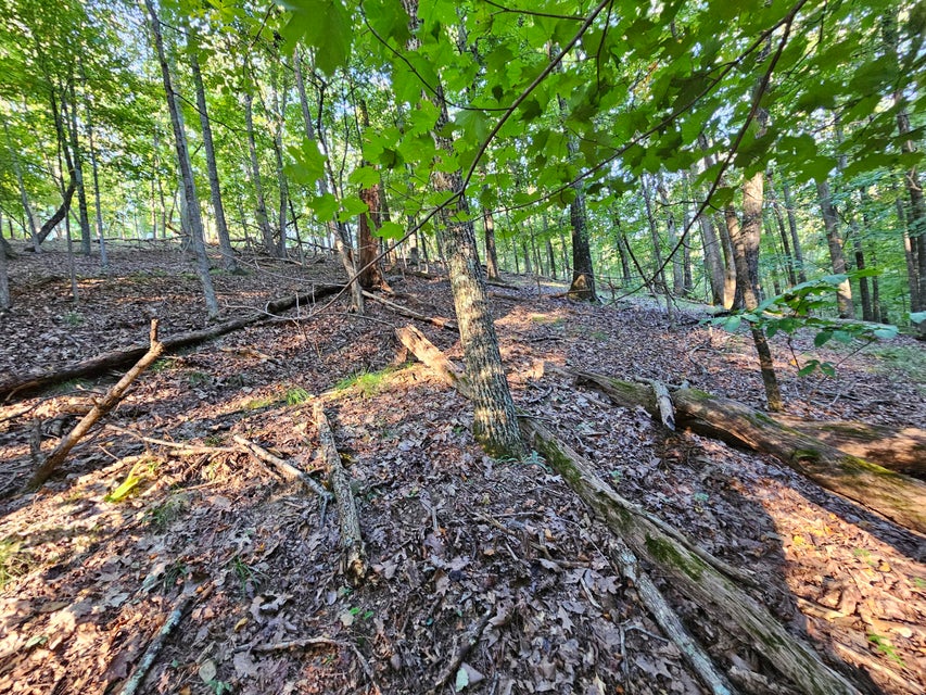 Photo #26: 1404 Echota Lane