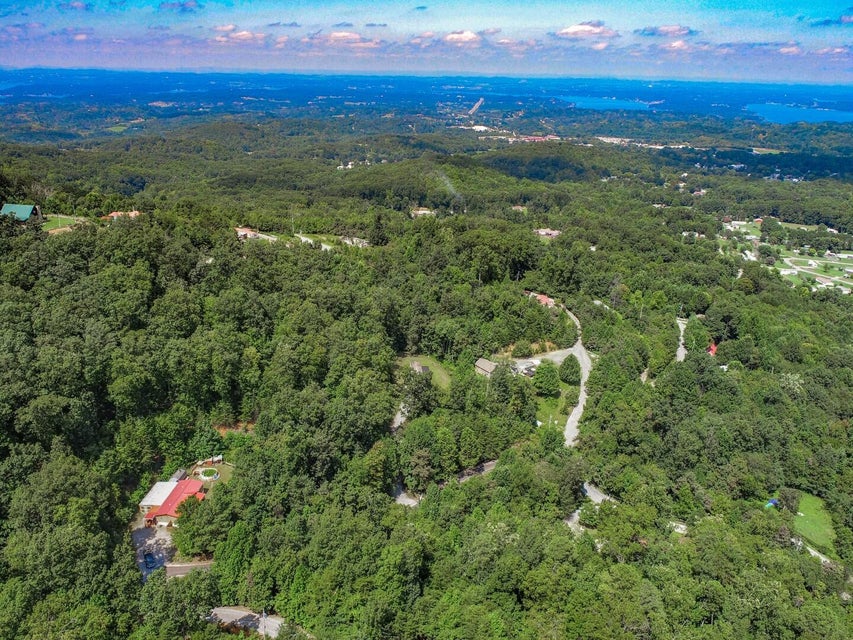 Photo #34: 1245 Applewood Road