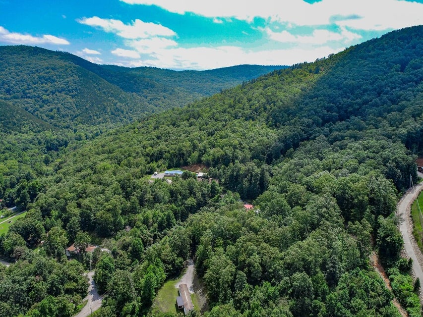 Photo #36: 1245 Applewood Road