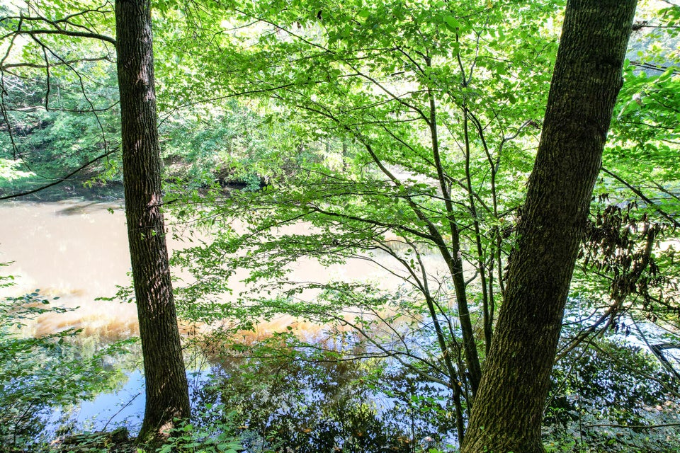 Photo #3: 175 Speedwell Church Road