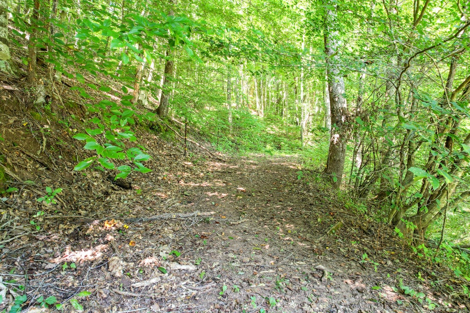Photo #48: 175 Speedwell Church Road