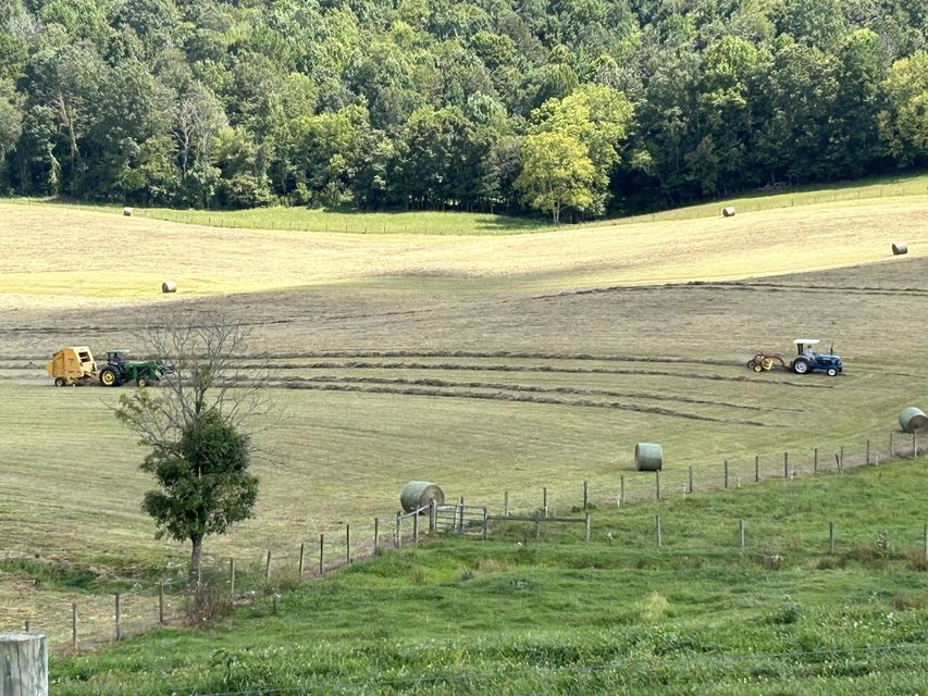 Photo #3: 14998 Hearst Road