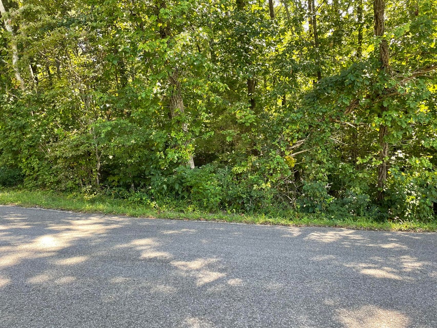Photo #2: 625 Sequoyah Drive