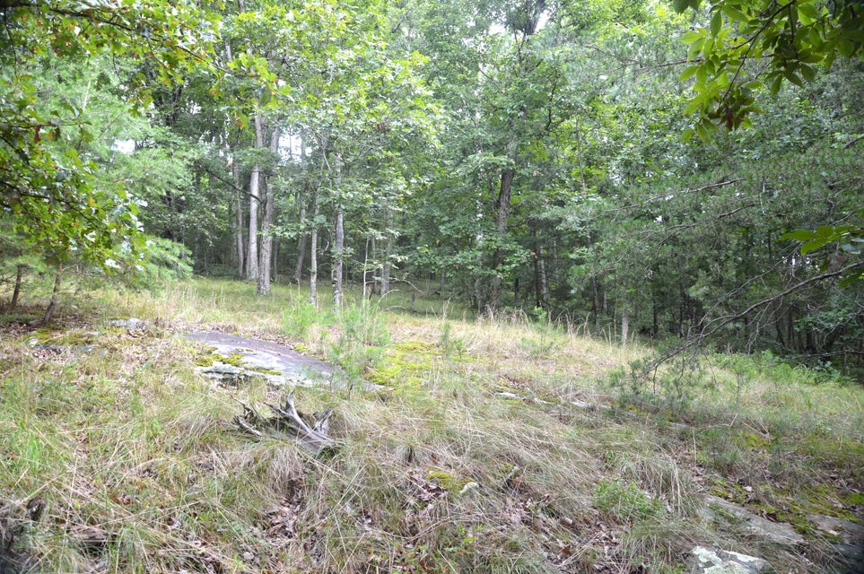 Photo #8: 321 Bays Mountain Road