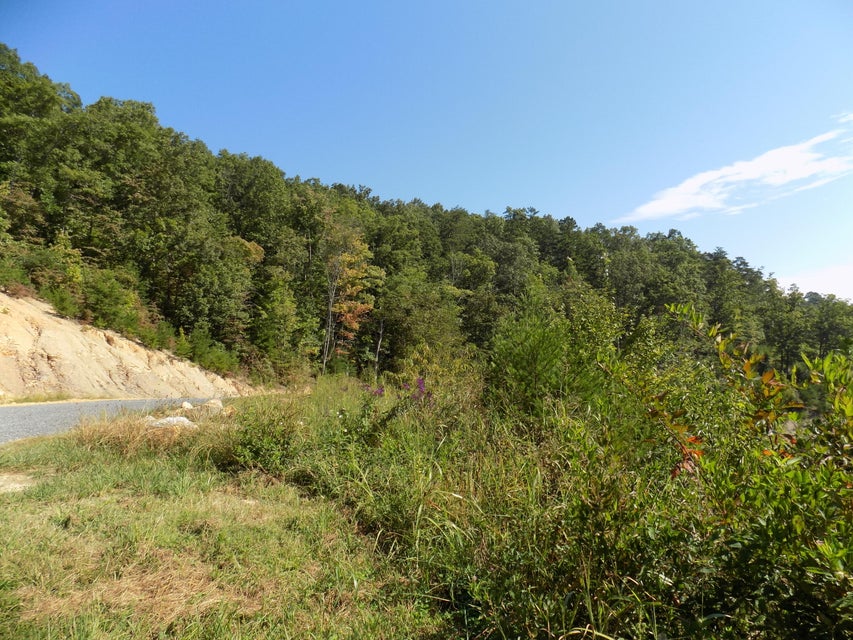 Photo #38: 367 Poor Valley Road