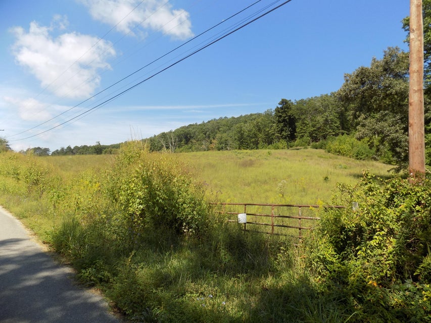 Photo #69: 367 Poor Valley Road
