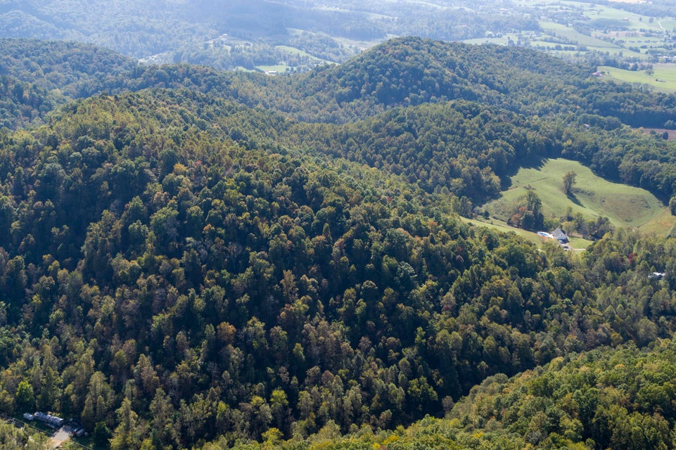 Photo #11: 000 Blue Springs Road