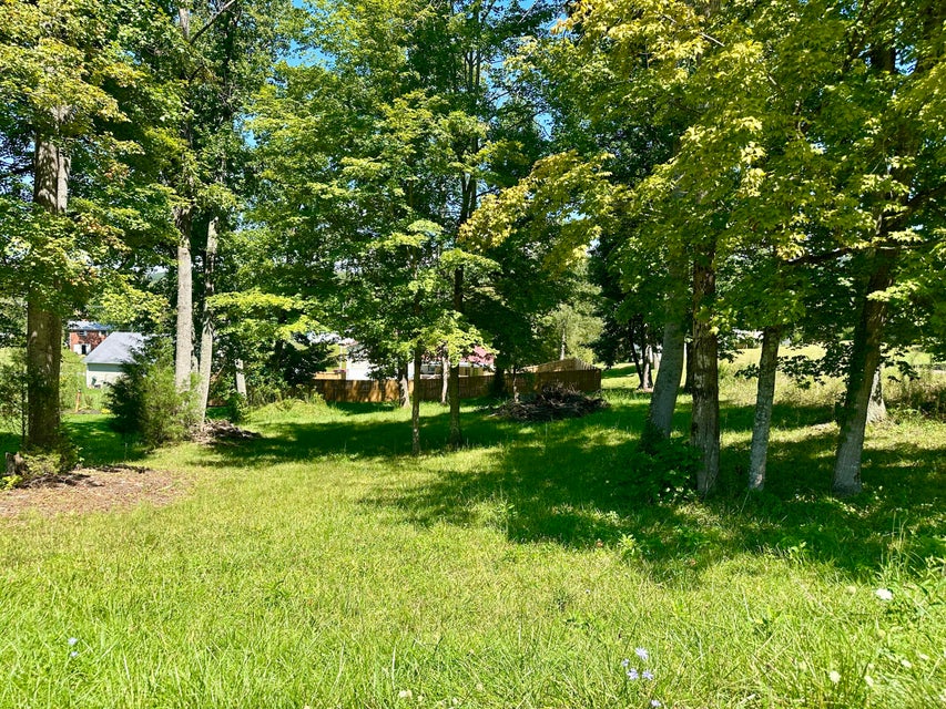 Photo #6: Lot 0047 Wild Rose Lane