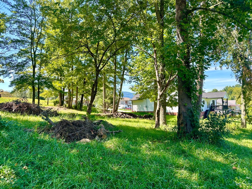 Photo #11: Lot 0047 Wild Rose Lane
