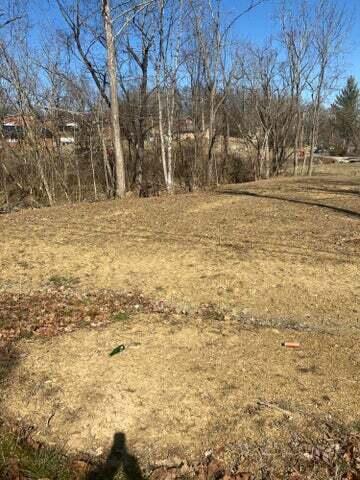 Photo #4: Tbd King Springs Road