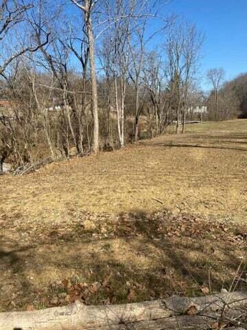 Photo #7: Tbd King Springs Road