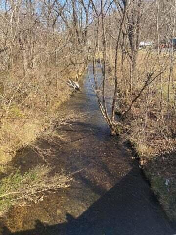 Photo #9: Tbd King Springs Road
