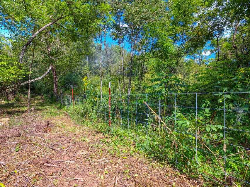Photo #34: 490 Hickory Cove Road