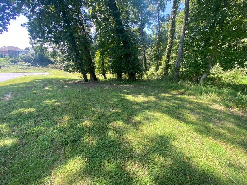 Photo #7: 827 Broadstone Way