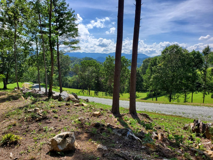 Photo #2: Lot 11 Draft Road