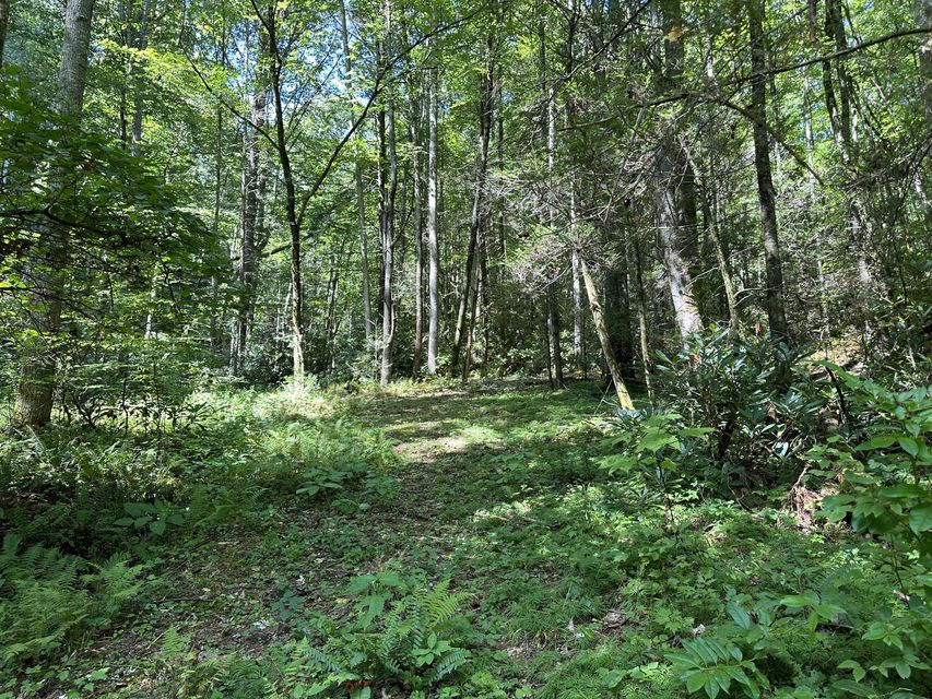 Photo #28: 2057 Berry Branch Road