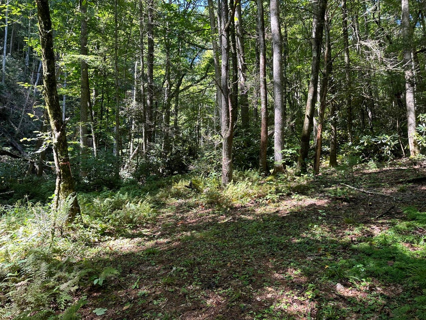 Photo #30: 2057 Berry Branch Road