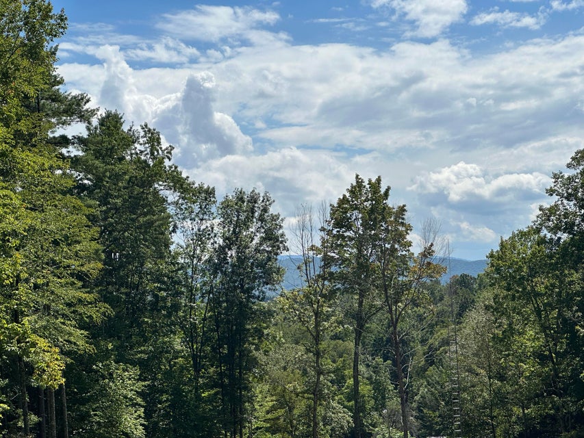 Photo #25: 2057 Berry Branch Road