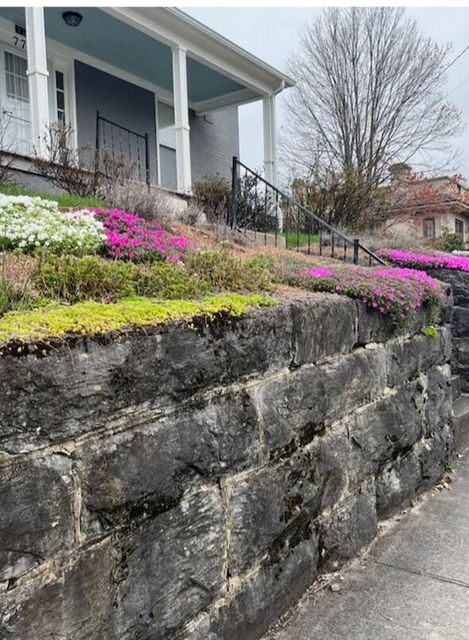 Photo #4: 770 Park Street