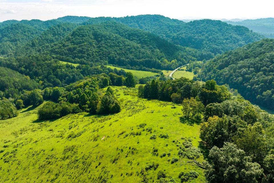 Photo #21: Tbd Big Creek Road Road