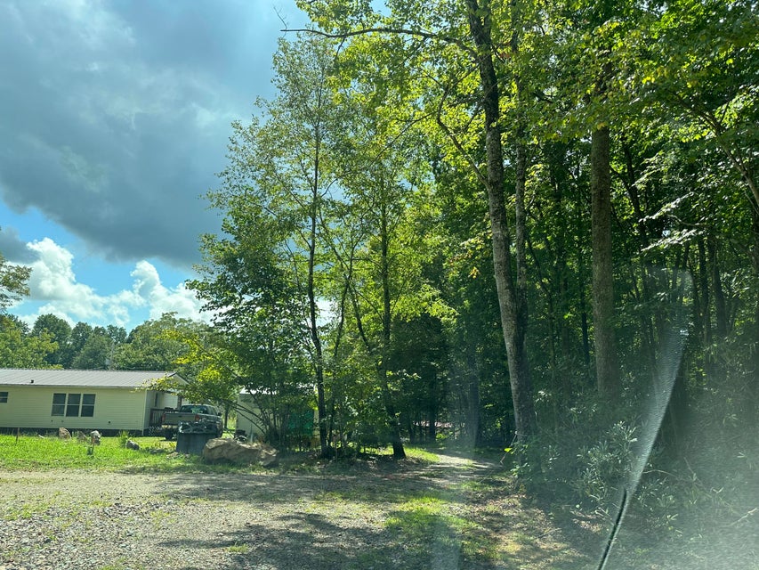 Photo #35: 2057 Berry Branch Road