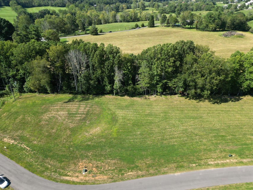 Photo #7: Lot 9 Old South Way