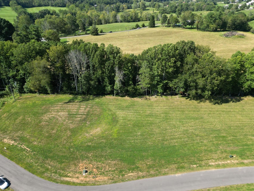 Photo #9: Lot 10 Old South Way