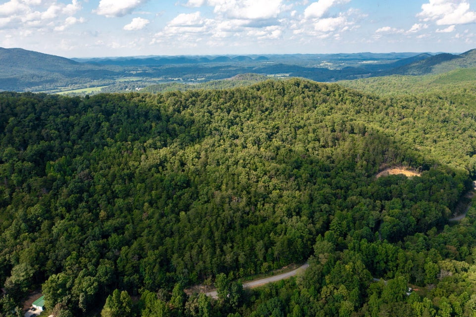 Photo #15: 15 Acres Steer Creek Road