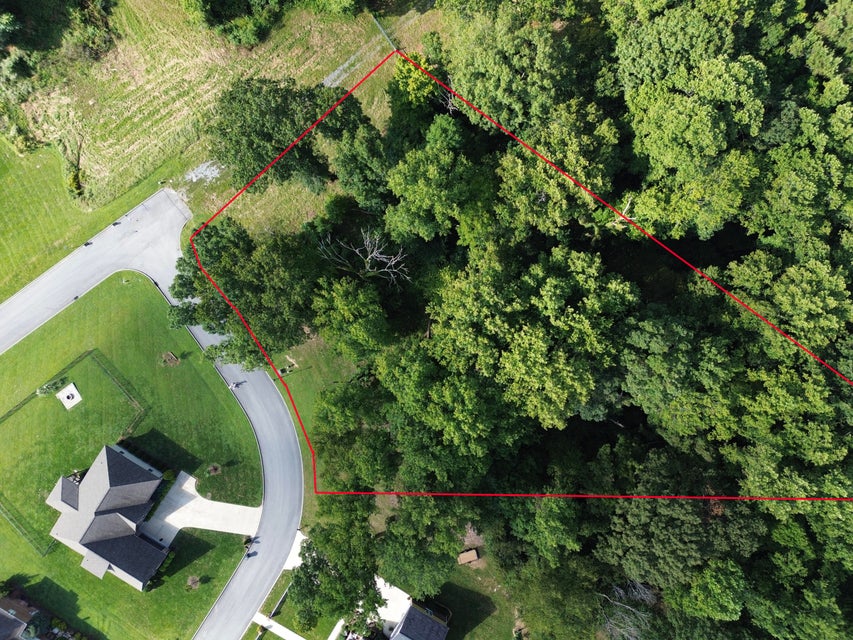 Photo #14: 827 Broadstone Way