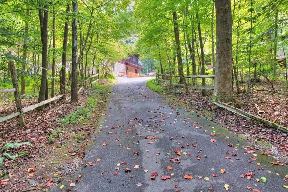 Photo #42: 1267 Allison Road