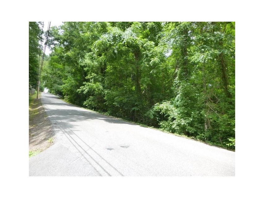 Photo #10: Lot 6 Briarwood Road