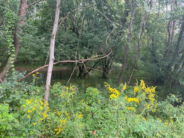 Photo #5: 0 Copper Creek Road