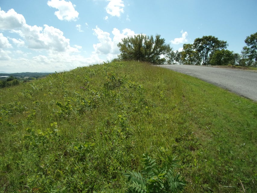 Photo #4: 0 Turner Hill