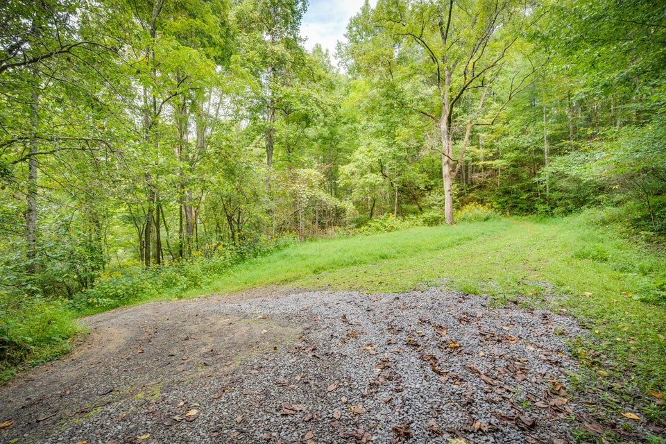 Photo #41: 5384 Clinch Mountain Road